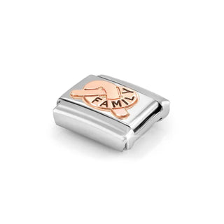 Composable Classic Symbols in stainless steel with 9k rose gold and CZ Family