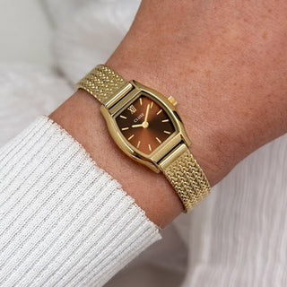 Cluse Tonnette Mini Watch Mesh, Brown, Gold Colour