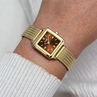 Gracieuse Mini Watch Mesh, Brown, Gold Colour