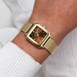 Gracieuse Petite Watch Mesh, Brown, Gold Colour