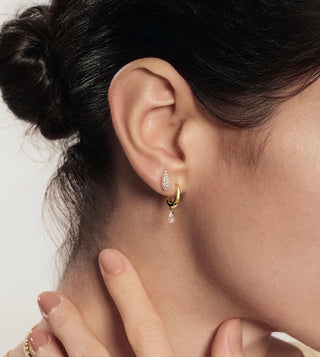 Ania Haie Gold Teardrop Dangle Huggie Hoop Earrings