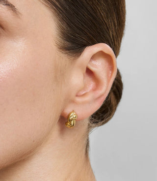 Ania Haie Gold Rope Twist Stud Earrings
