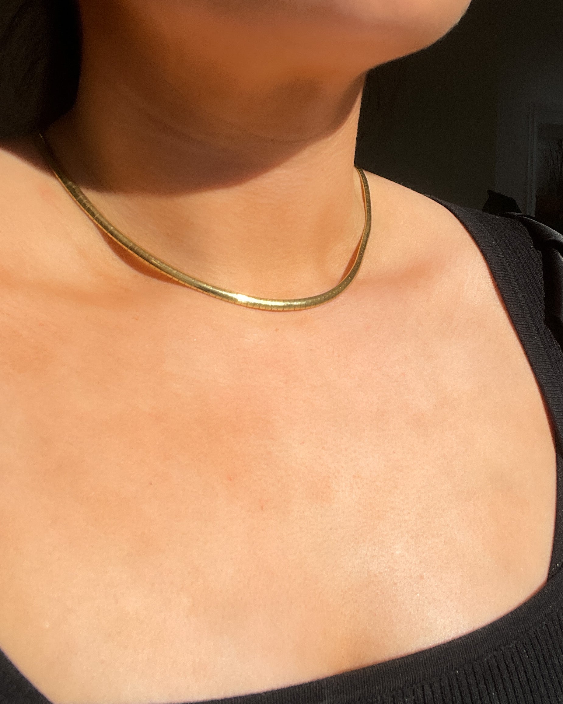 Round Snake Chain Necklace – House of Nori