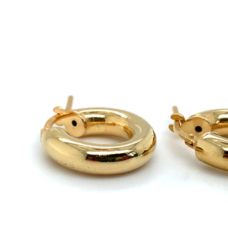 Golden Small Thick Hoop Earring