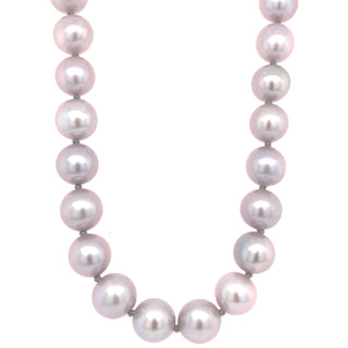 Grey Cultured Pearls