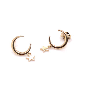Crescent & Star Earring