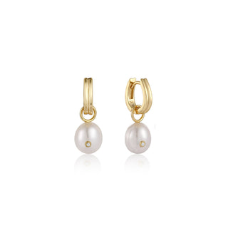 Ania Haie Gold Pearl Drop Sparkle Huggie Hoop Earrings