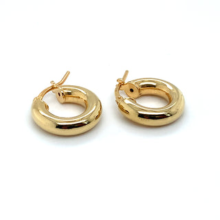 Golden Small Thick Hoop Earring